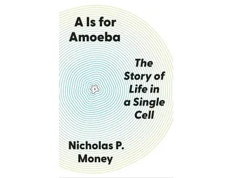 A Is for Amoeba
