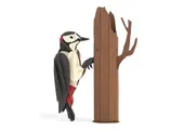 Kikkerland 3D Puzzel Specht