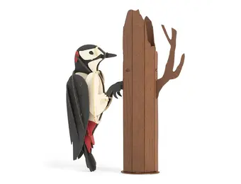 Kikkerland 3D Puzzel Specht