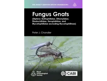 Fungus Gnats