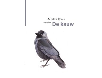 De kauw