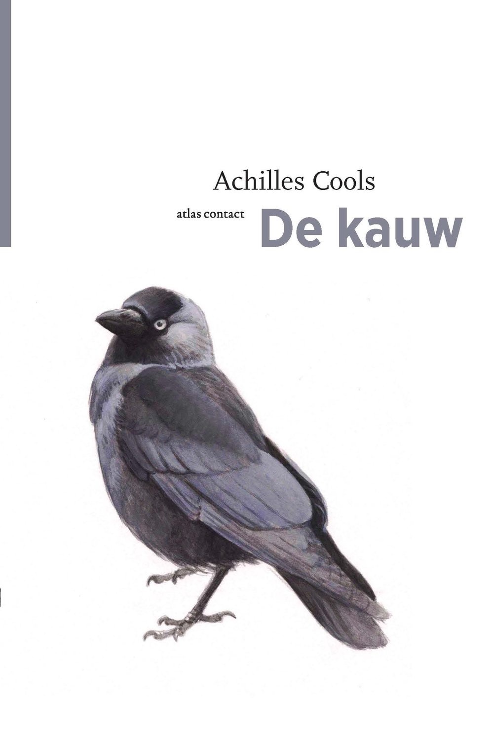 De kauw