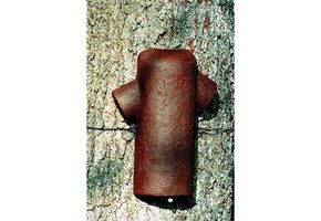 Schwegler Treecreeper Box 2BN