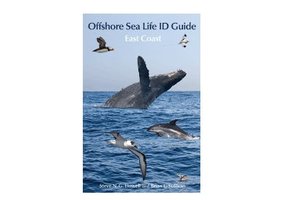 Offshore Sea Life ID Guide - East Coast