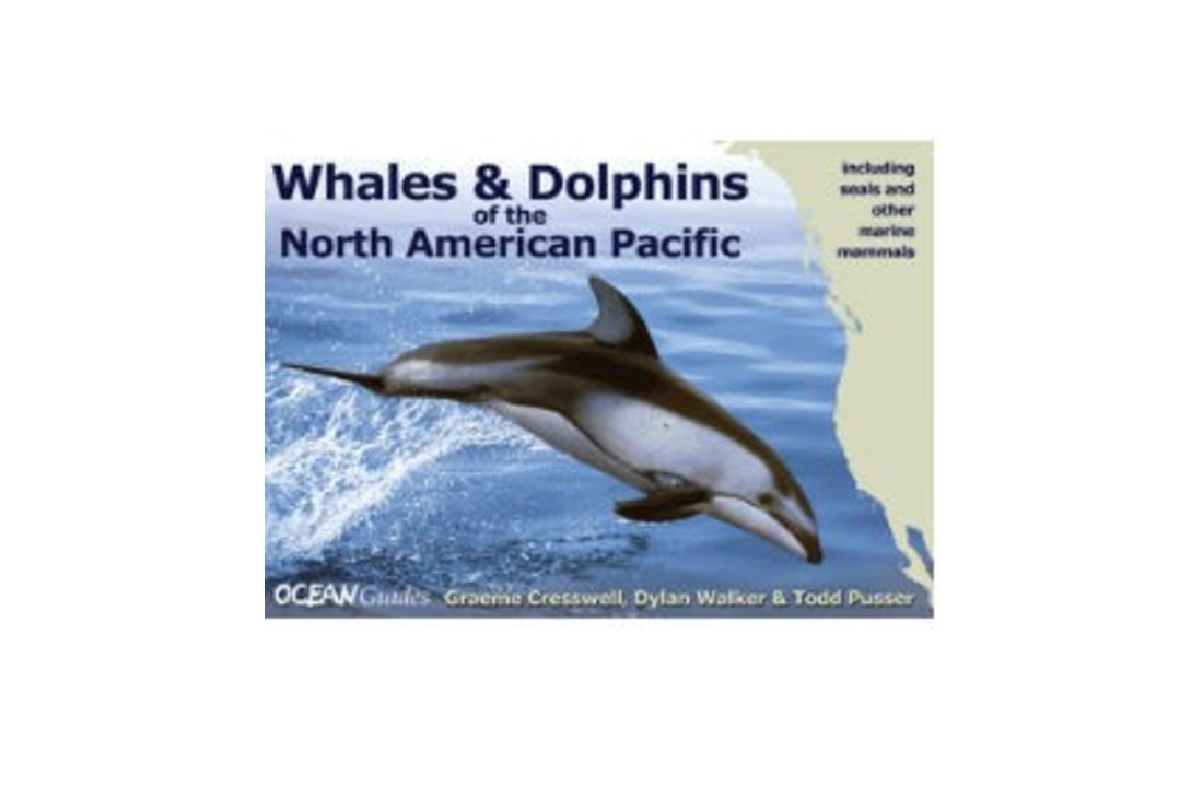 Whales & Dolphins of the North American Pacific - Including Seals and Other Marine Mammals