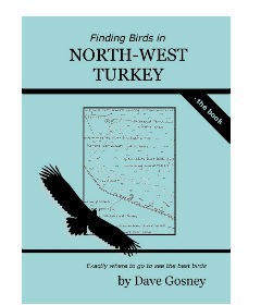 Finding Birds in North-West Turkey