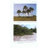 Field Guide to the Birds of Suriname