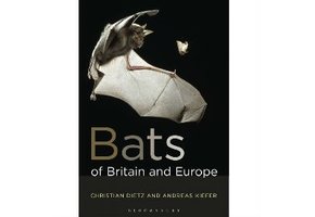 Bats of Britain and Europe