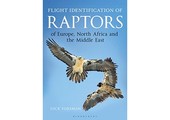 Flight Identification of Raptors of Europe, North Africa and the Middle East
