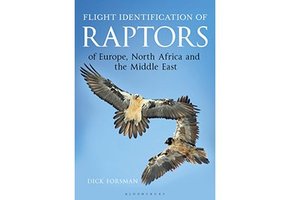 Flight Identification of Raptors of Europe, North Africa and the Middle East