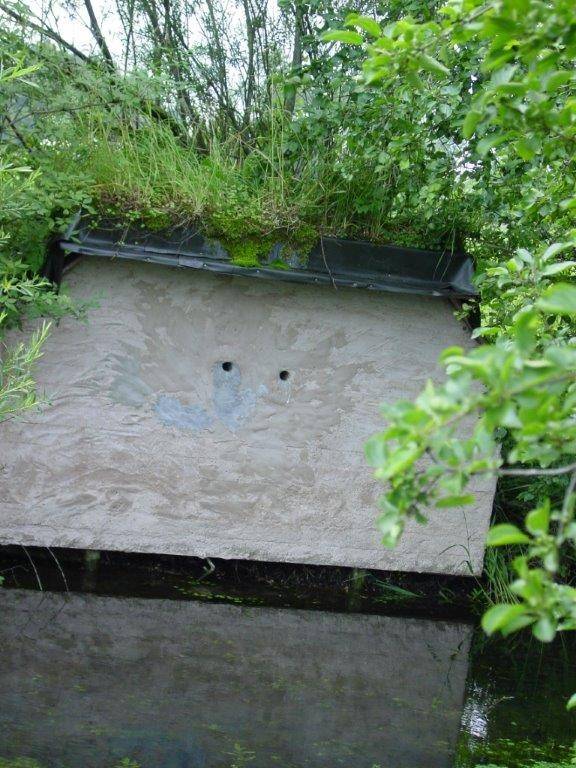 IJsvogel en Oeverzwaluw Broedbuis
