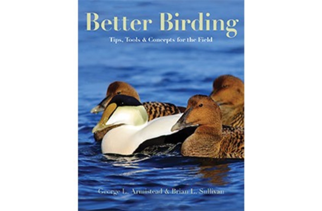 Better Birding: Tips, Tools and Concepts for the Field