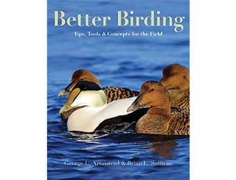 Better Birding: Tips, Tools and Concepts for the Field