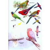 The Field Guide to the Birds of New Zealand