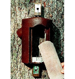 Treecreeper Box 2B