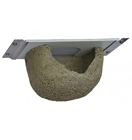 Huiszwaluw Half Afgewerkt Nest Nr. 13B