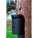 Schwegler Grote Vleermuiskast 3FS