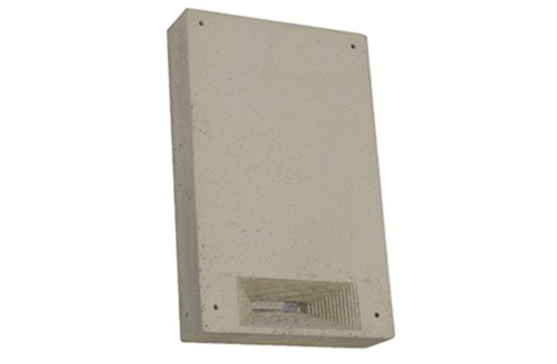 Bat Winter Roost 1WI