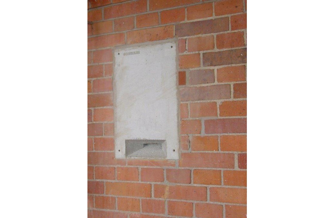 Bat Winter Roost 1WI