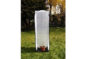 Aerarium 60x60x180cm