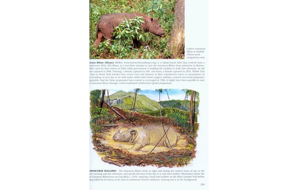 Phillipps' Field Guide to the Mammals of Borneo and their Ecology - Sabah, Sarawak, Brunei and Kalimantan