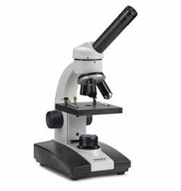 Novex Junior LED microscope