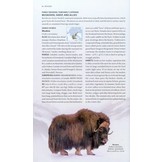 The Arctic Guide - Wildlife of the Far North
