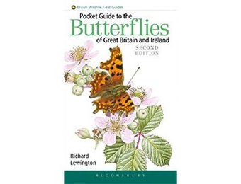 Pocket Guide to the Butterflies of Great Britain and Ireland
