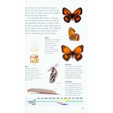 Pocket Guide to the Butterflies of Great Britain and Ireland
