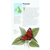 Pocket Guide to the Butterflies of Great Britain and Ireland