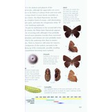 Pocket Guide to the Butterflies of Great Britain and Ireland