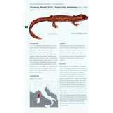 Field Guide to the Amphibians & Reptiles of Britain and Europe