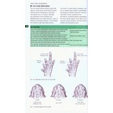Field Guide to the Amphibians & Reptiles of Britain and Europe