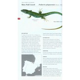 Field Guide to the Amphibians & Reptiles of Britain and Europe