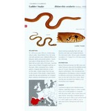 Field Guide to the Amphibians & Reptiles of Britain and Europe