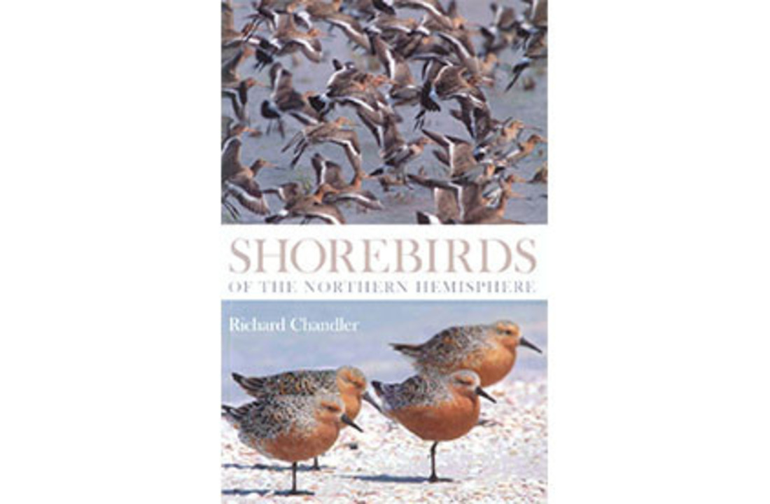Shorebirds of the Northern Hemisphere