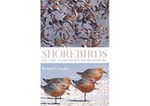 Shorebirds of the Northern Hemisphere