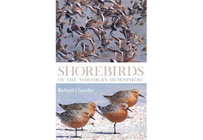 Shorebirds of the Northern Hemisphere