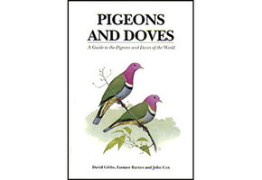 Pigeons and Doves