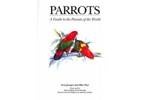 Parrots