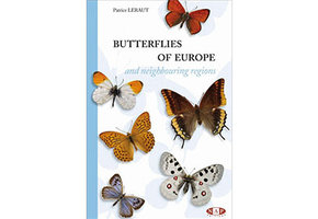 Butterflies of Europe and Neighbouring Regions