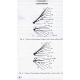 Moths of Europe, Volume 1: Saturnids, Lasiocampids, Hawkmoths, Tiger Moths...