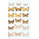 Moths of Europe, Volume 2: Geometrid Moths