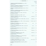 Moths of Europe, Volume 2: Geometrid Moths