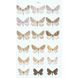 Moths of Europe, Volume 2: Geometrid Moths