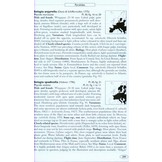 Moths of Europe, Volume 4: Pyralids 2