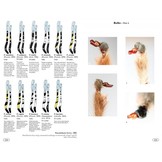 Tarantulas of the World - Theraphosidae