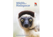 Wildlife of Madagascar