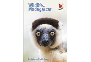 Wildlife of Madagascar