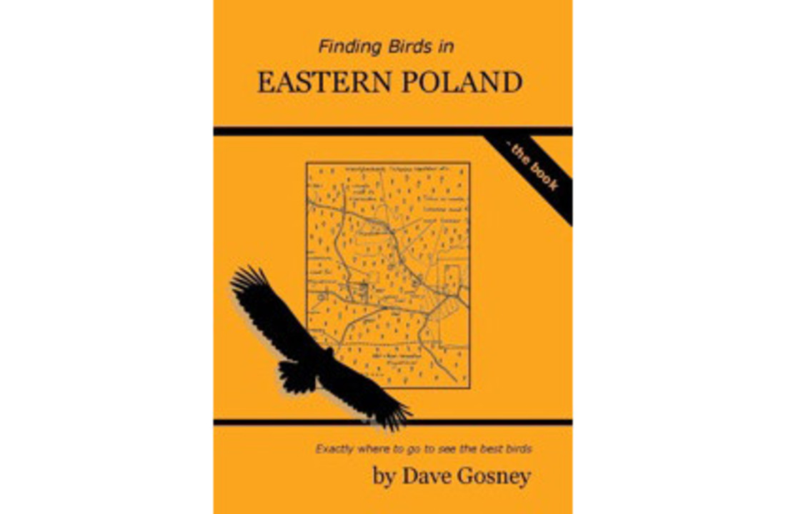 Finding Birds in Eastern Poland